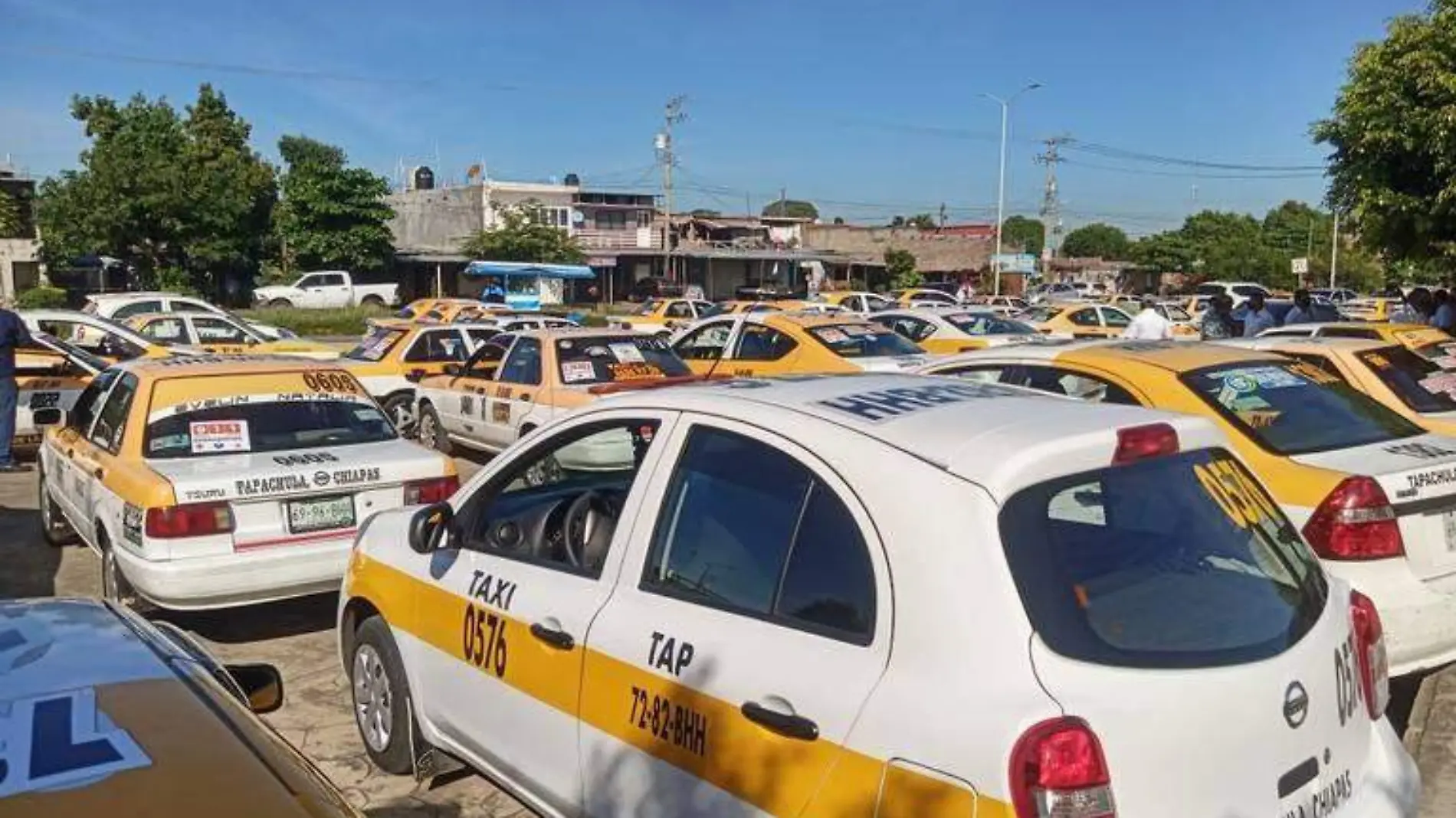 taxistas