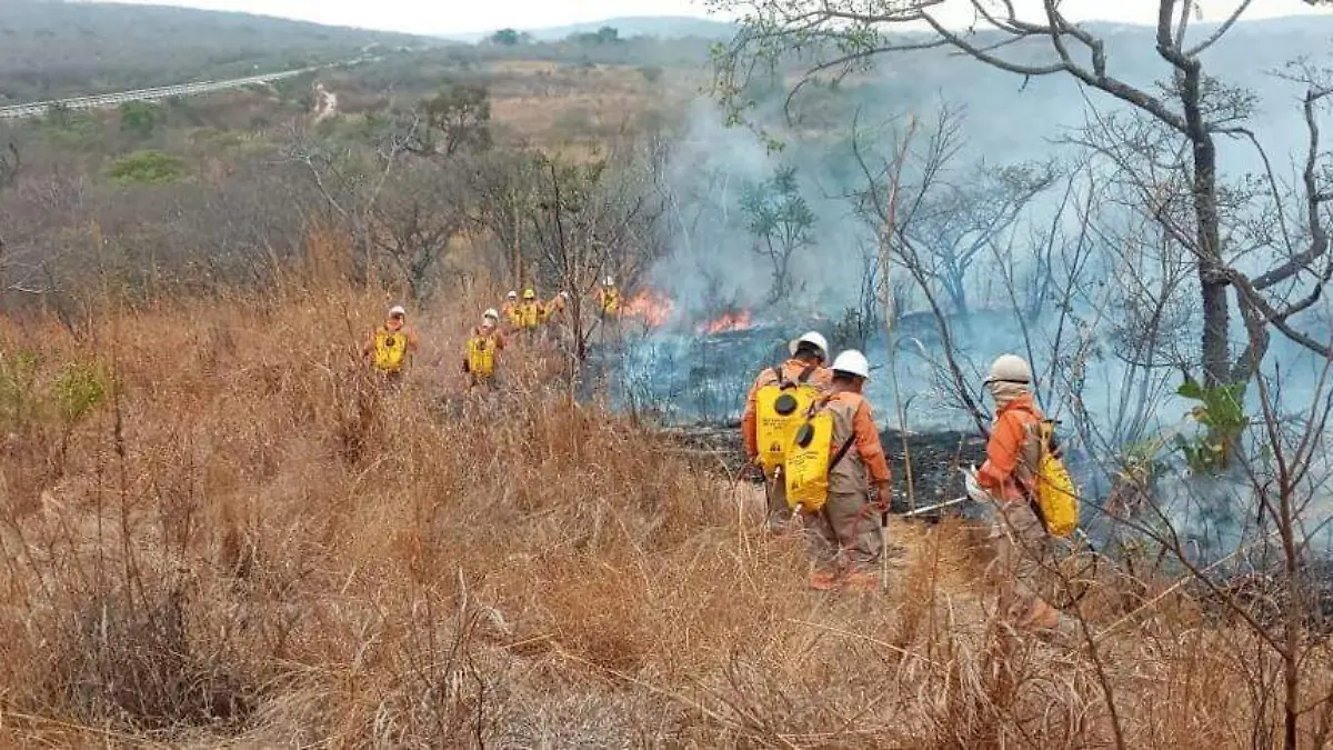 incendios1