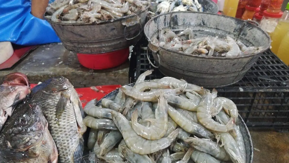 Camarones y pescado robalo