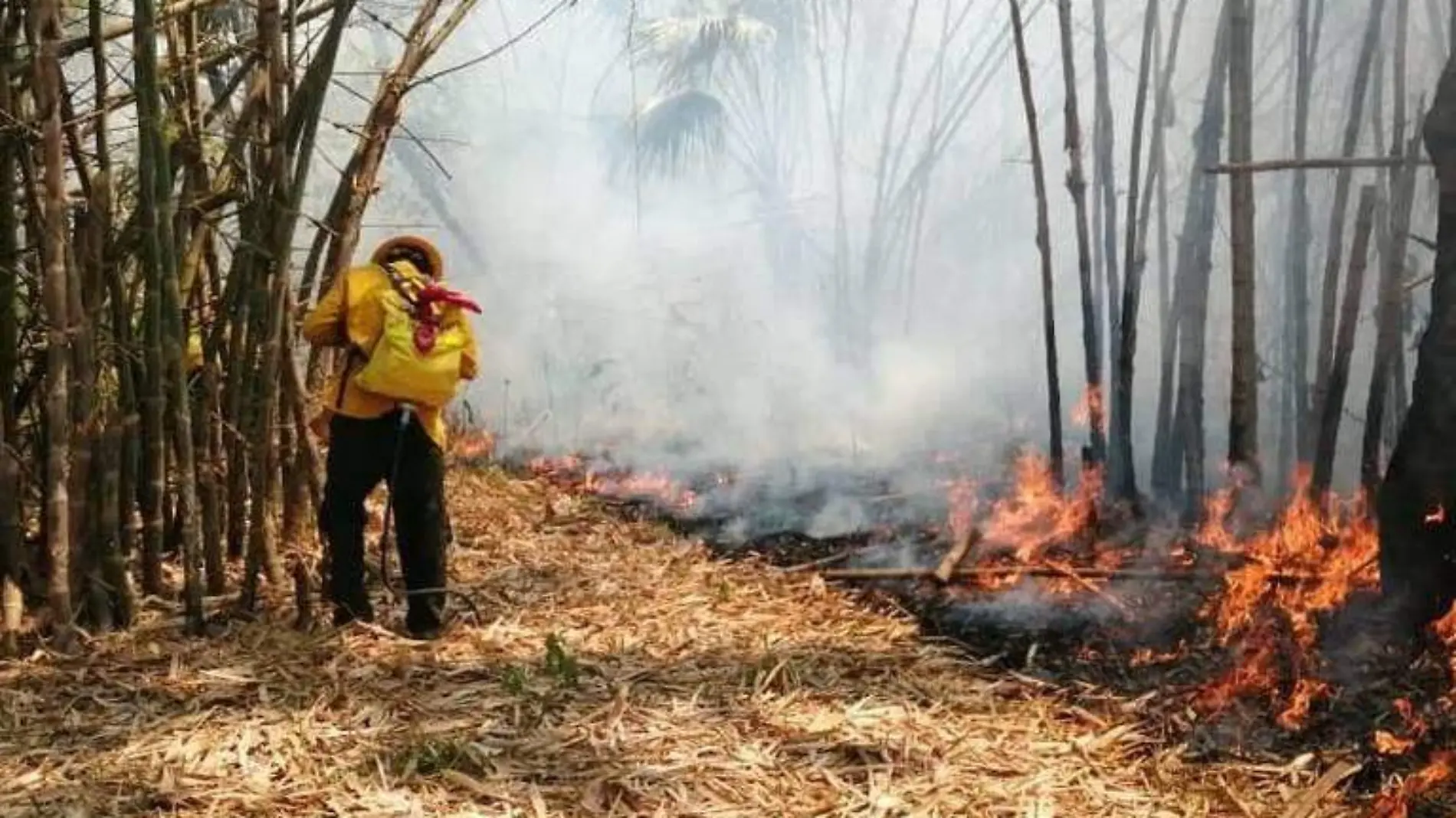 incendios