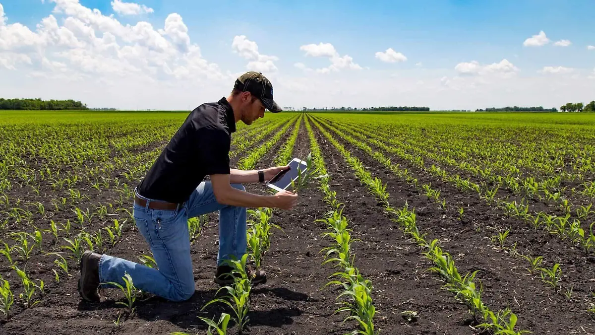 Ingeniero Agrónomo
