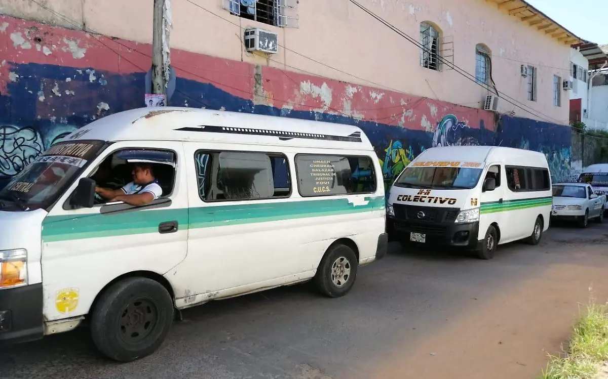 colectivo