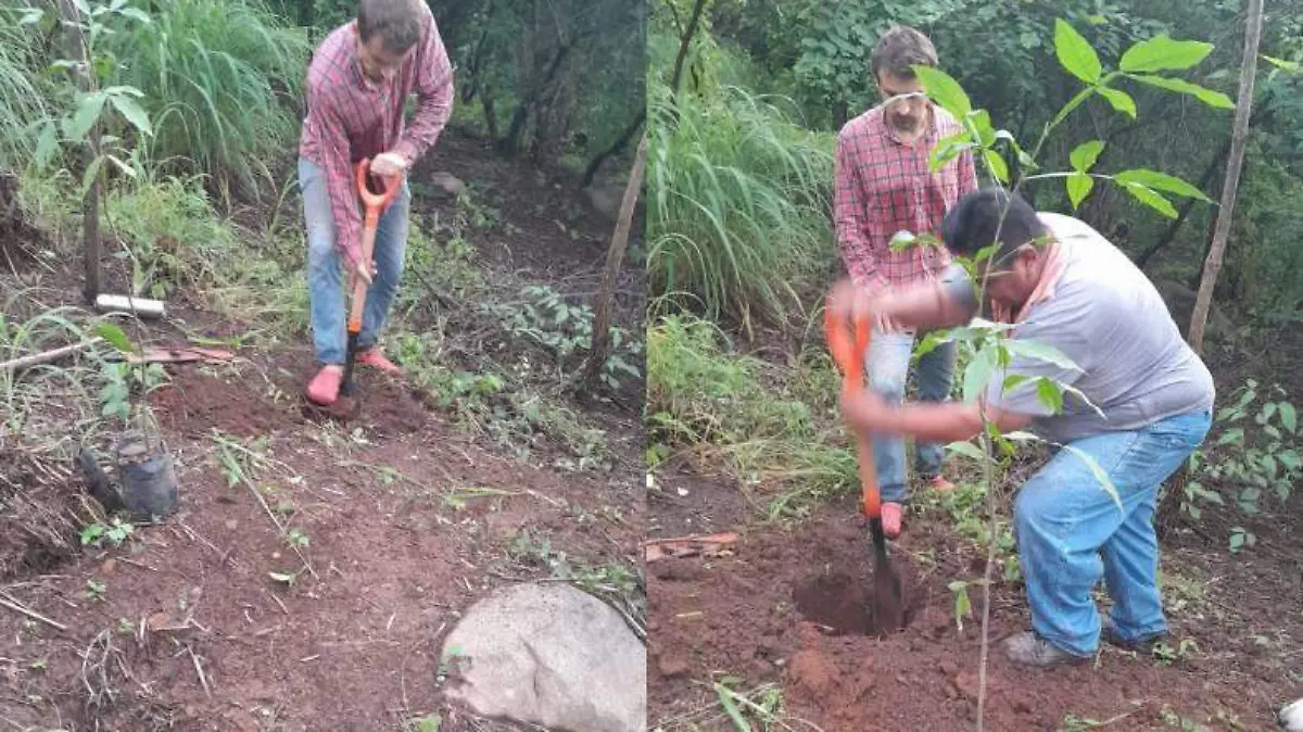 Proyecto nuevo