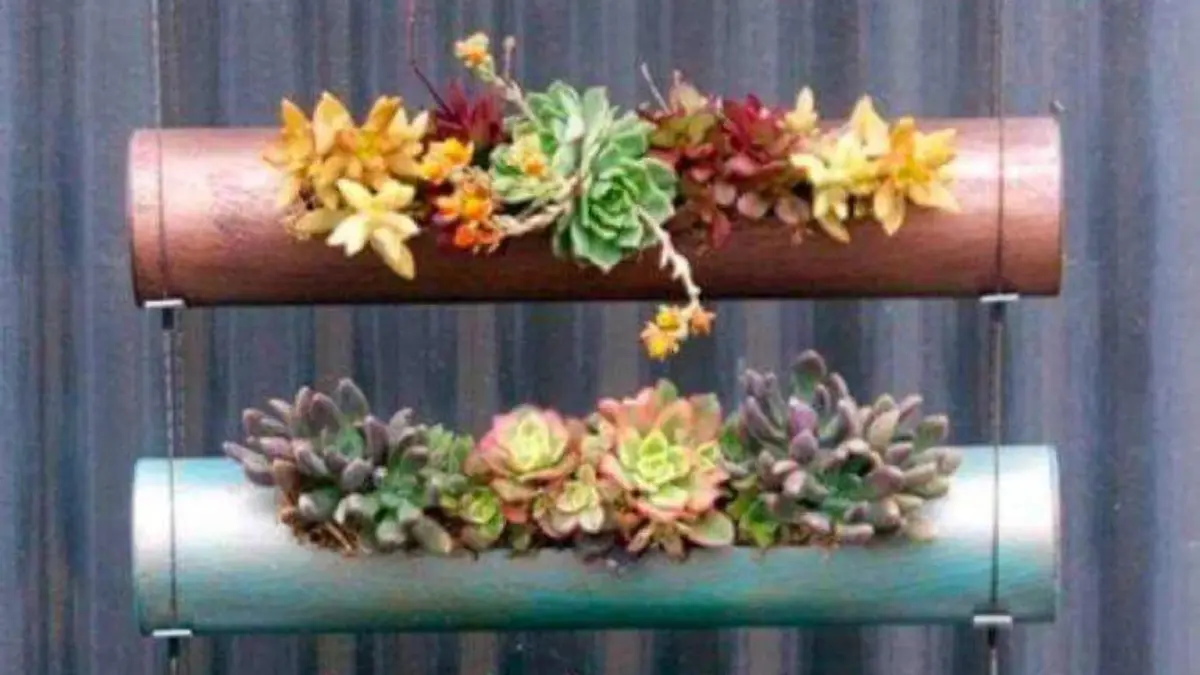 Jardín vertical colgante