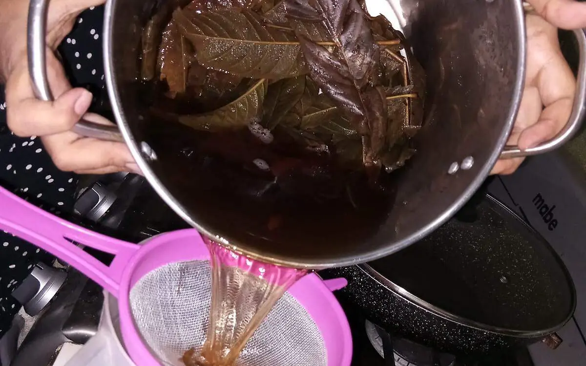 Infusión de níspero