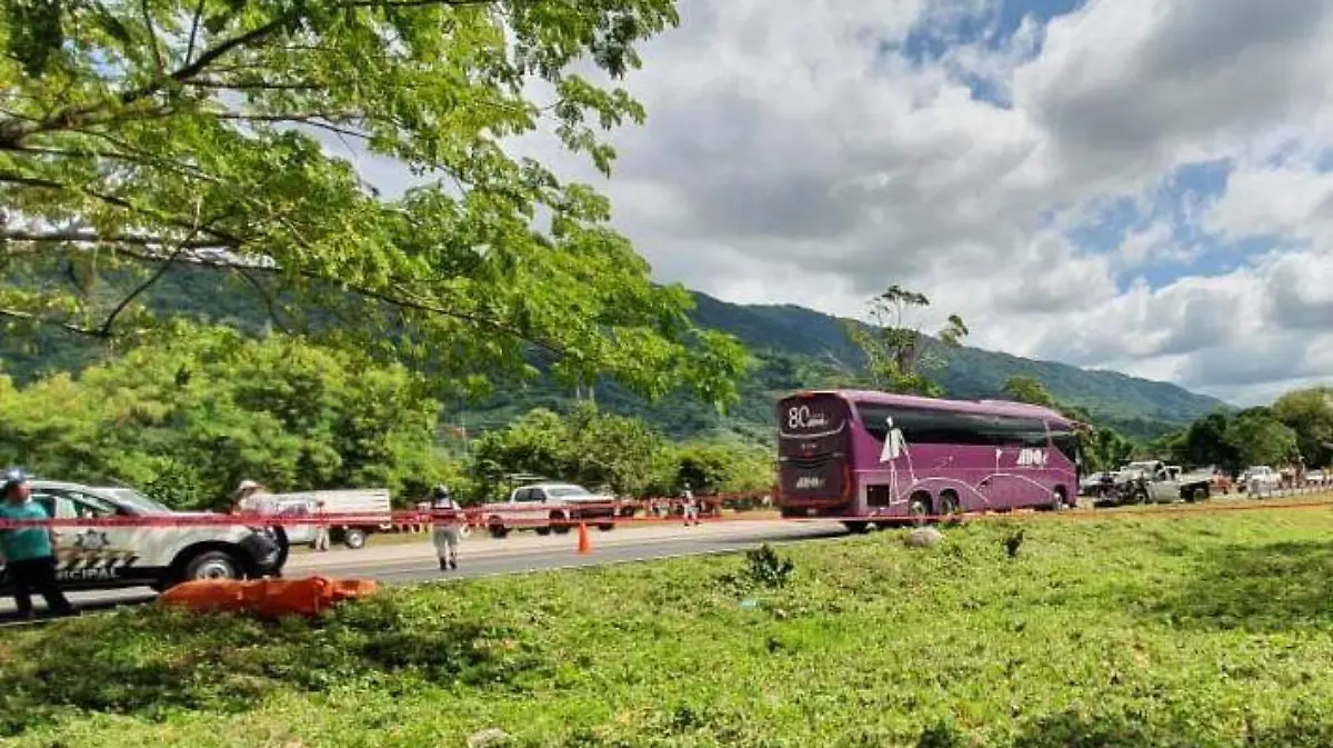 accidente, camion