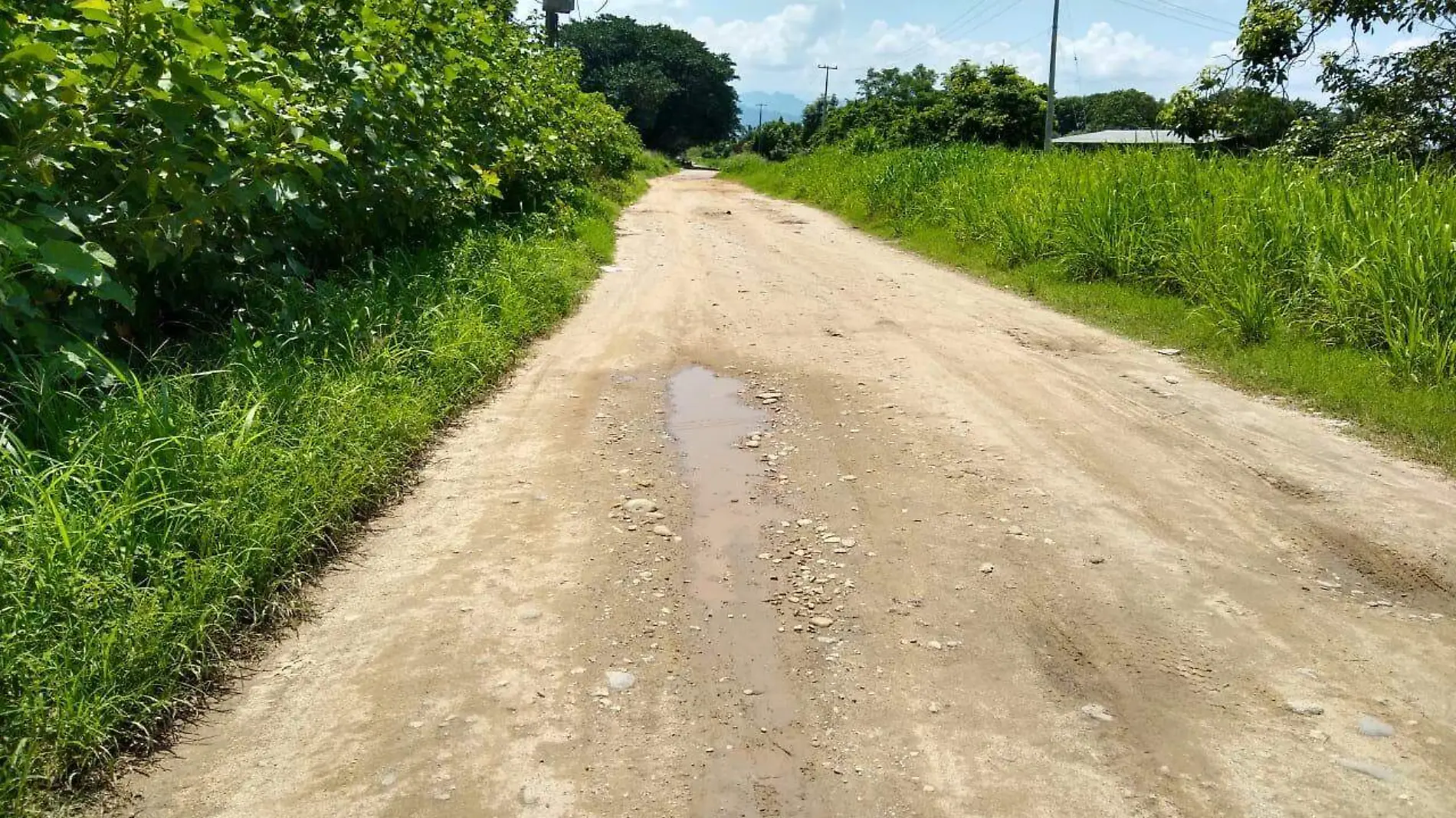 motocicleta