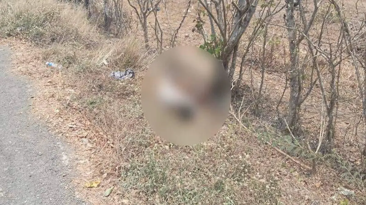 asesinado