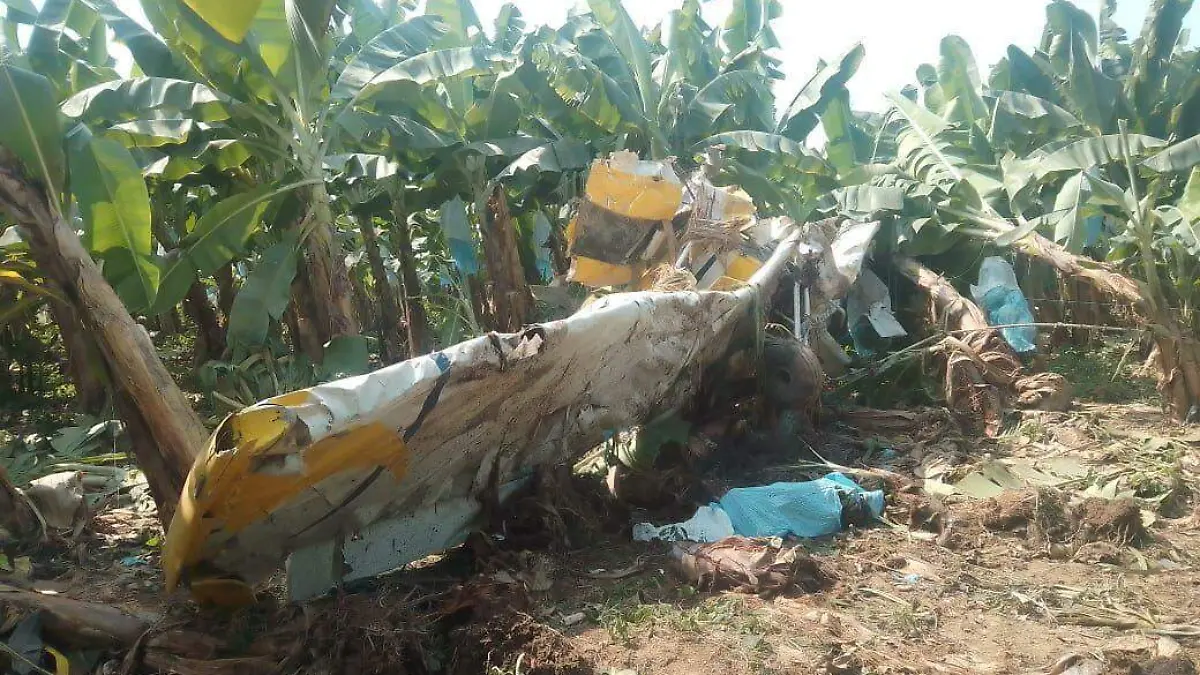 AVIONETA DERRUMBADA 