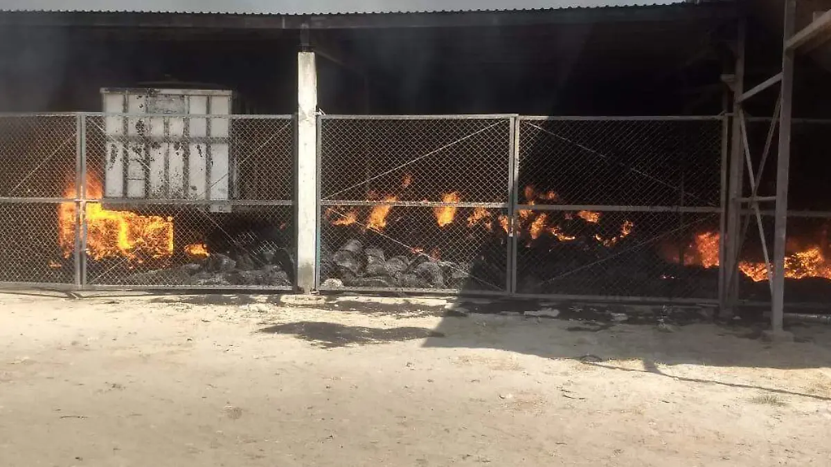 incendio3