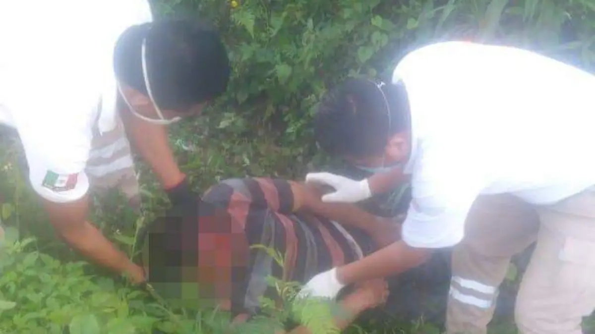 arrollado adulto mayor herido