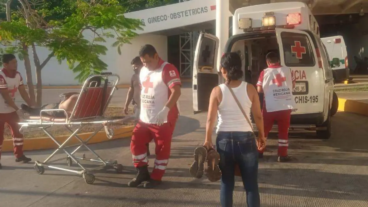 WhatsApp Image 2024-02-04 at 10.31.11 (1)