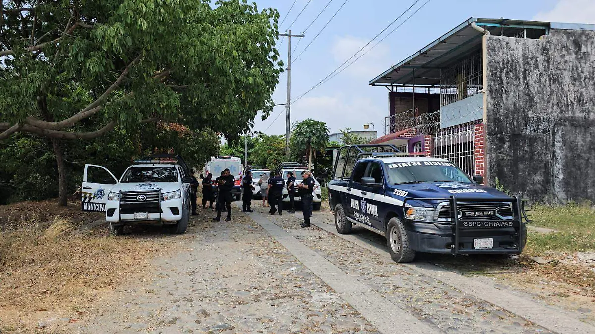 WhatsApp Image 2024-03-21 at 2.53.52 PM