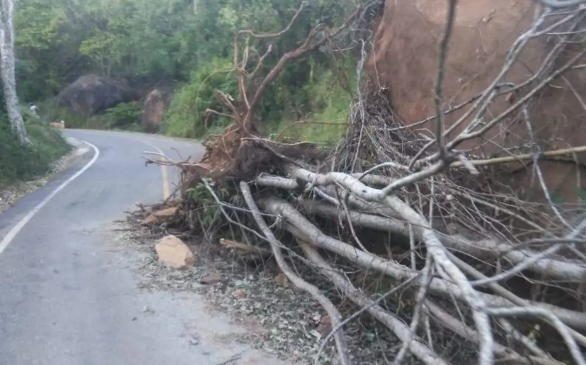 CARRETERA