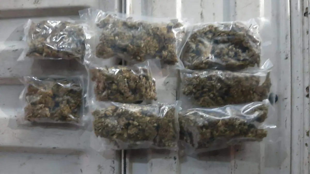 marihuana copia