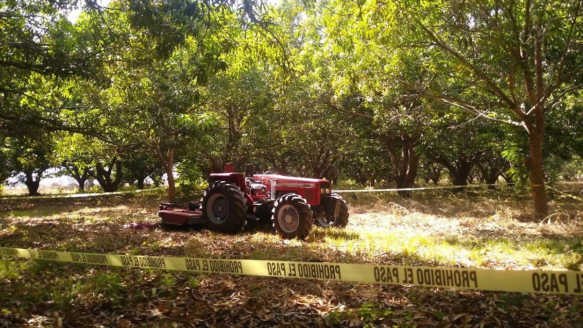 WhatsApp Image 2022-01-31 at 5.35.32 PM