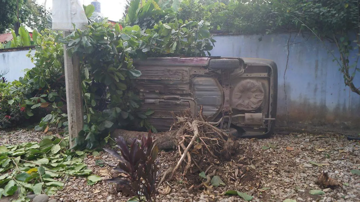 abandonado