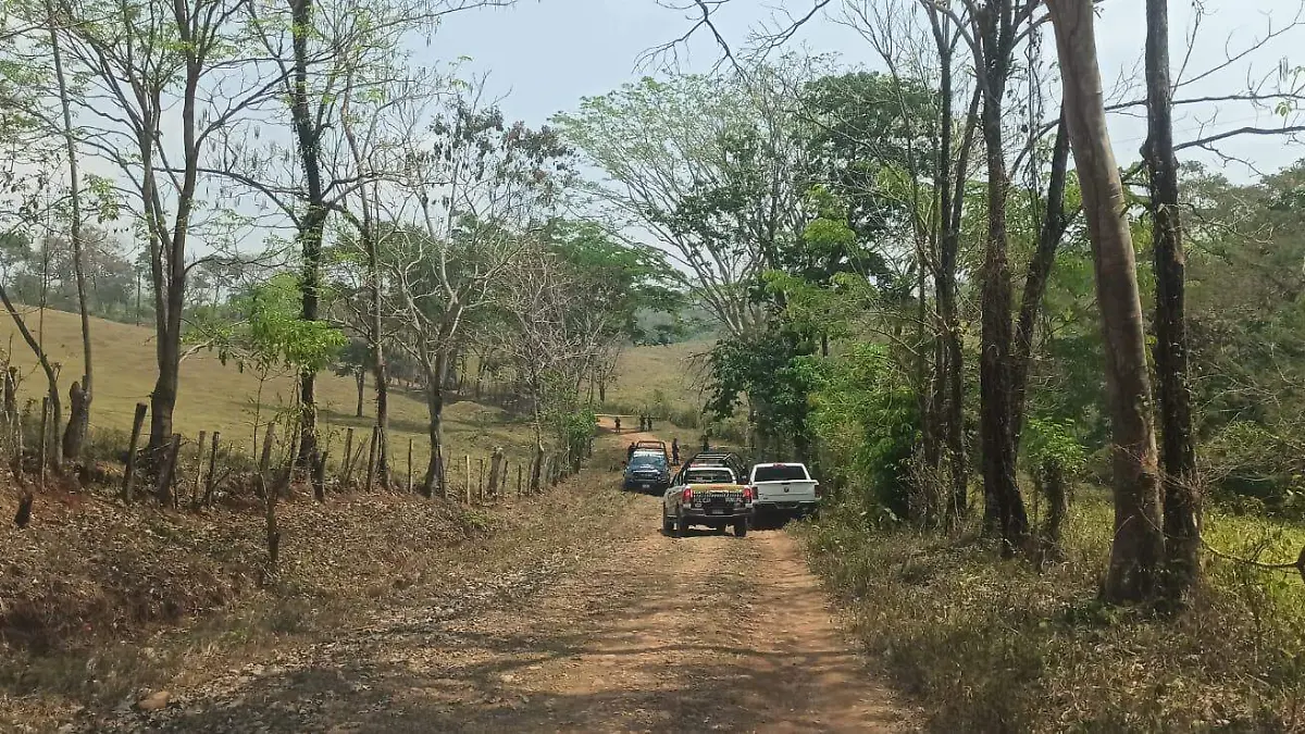 asesinada