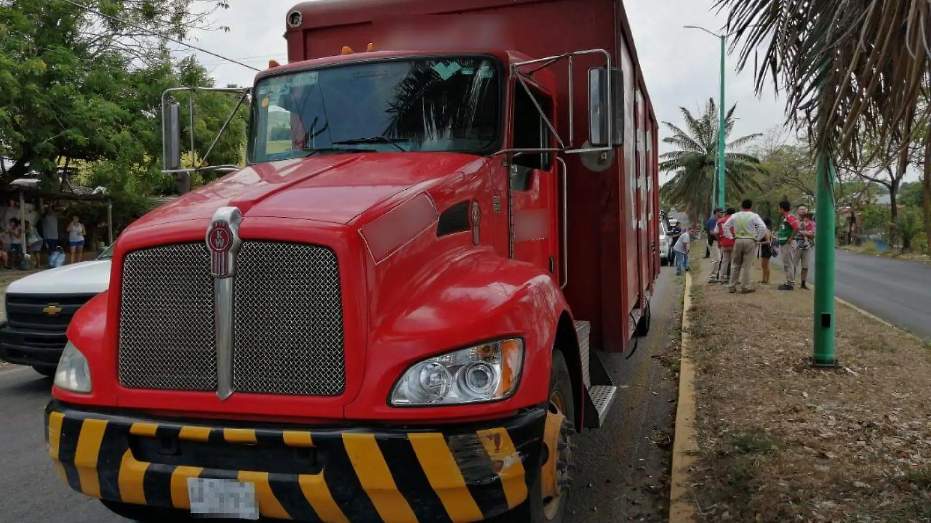 Camion-niño-arollado