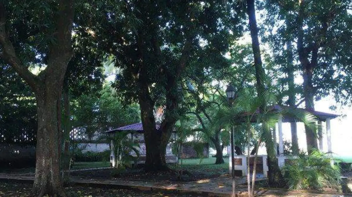 seminario