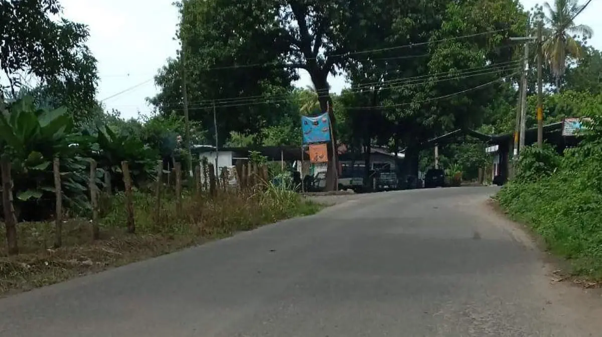 robo en granja de pollos