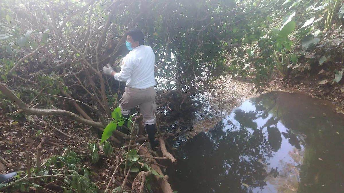 WhatsApp Image 2021-11-29 at 5.41.47 PM