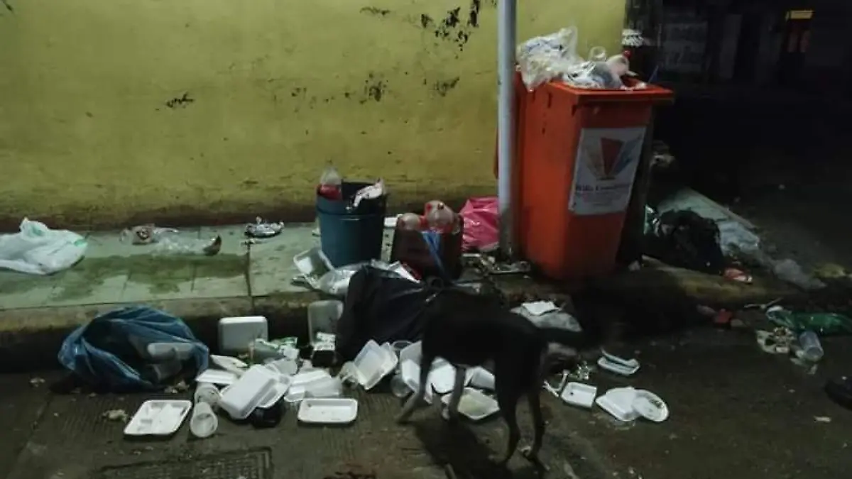 basua en villa comaltitlán