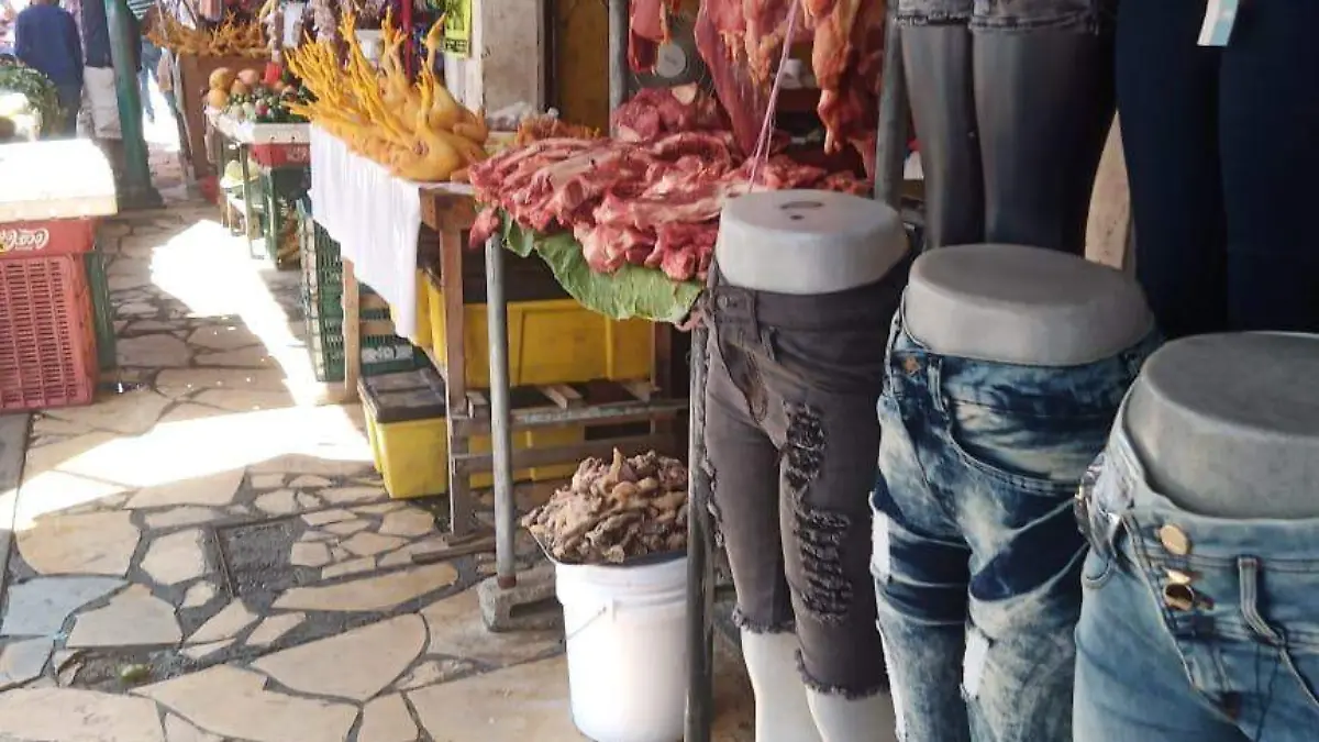 Carne (04)