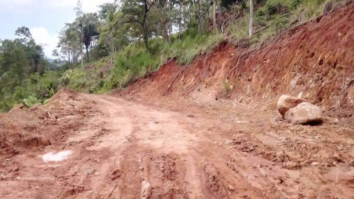camino