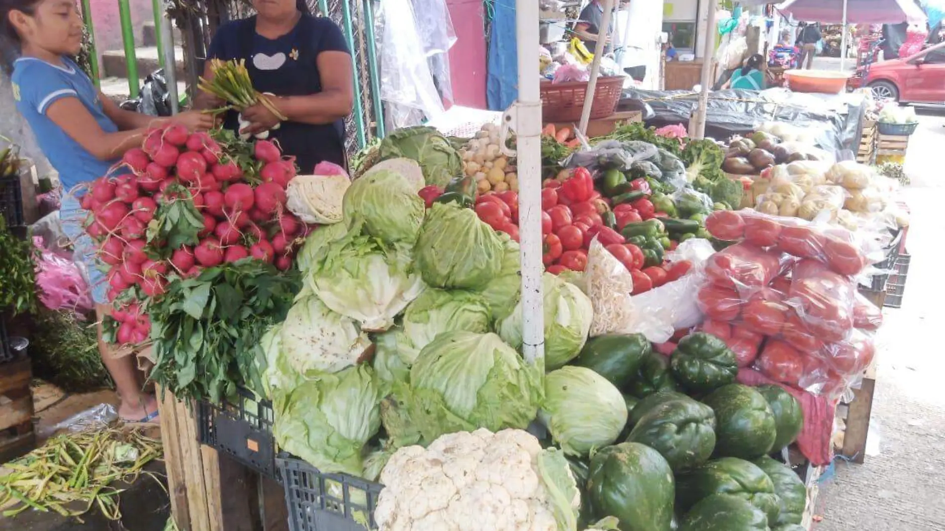 verduras