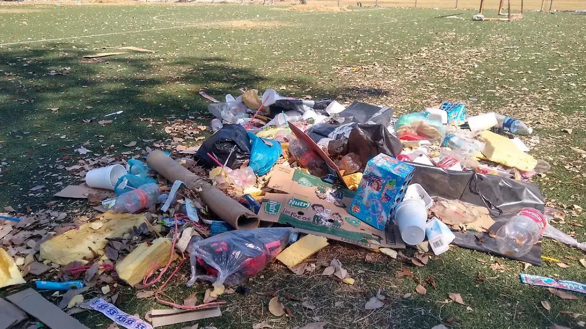 basura, Ayuntamiento, servicios publicos