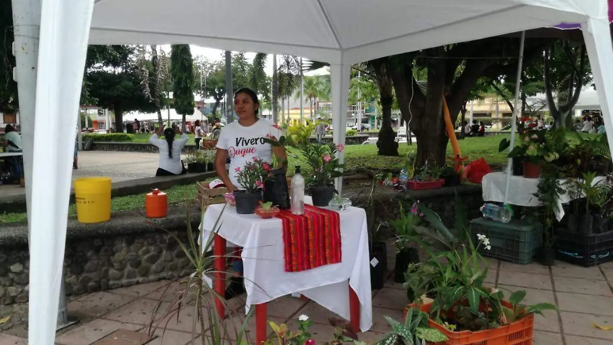 Plantas