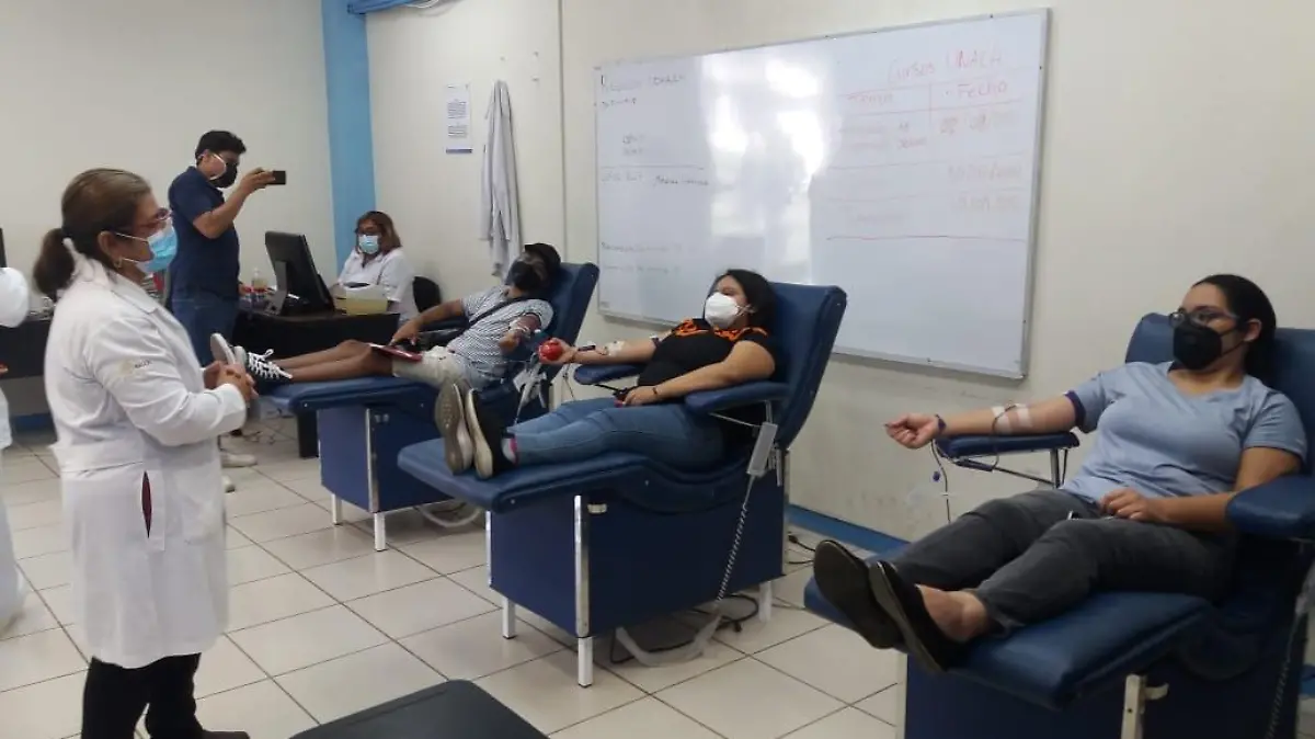 Donación de sangre