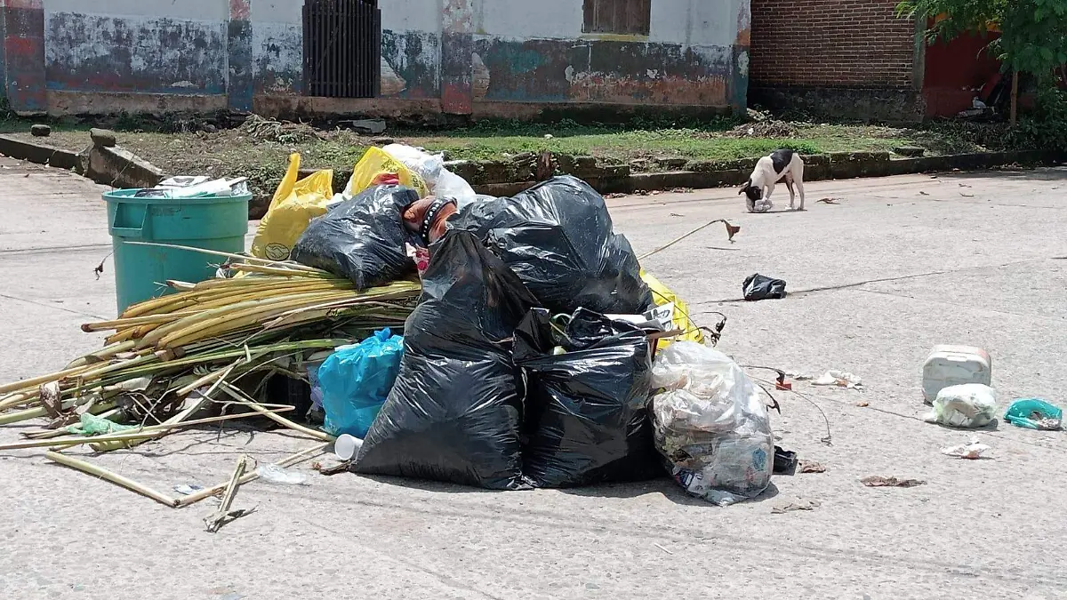 basura2