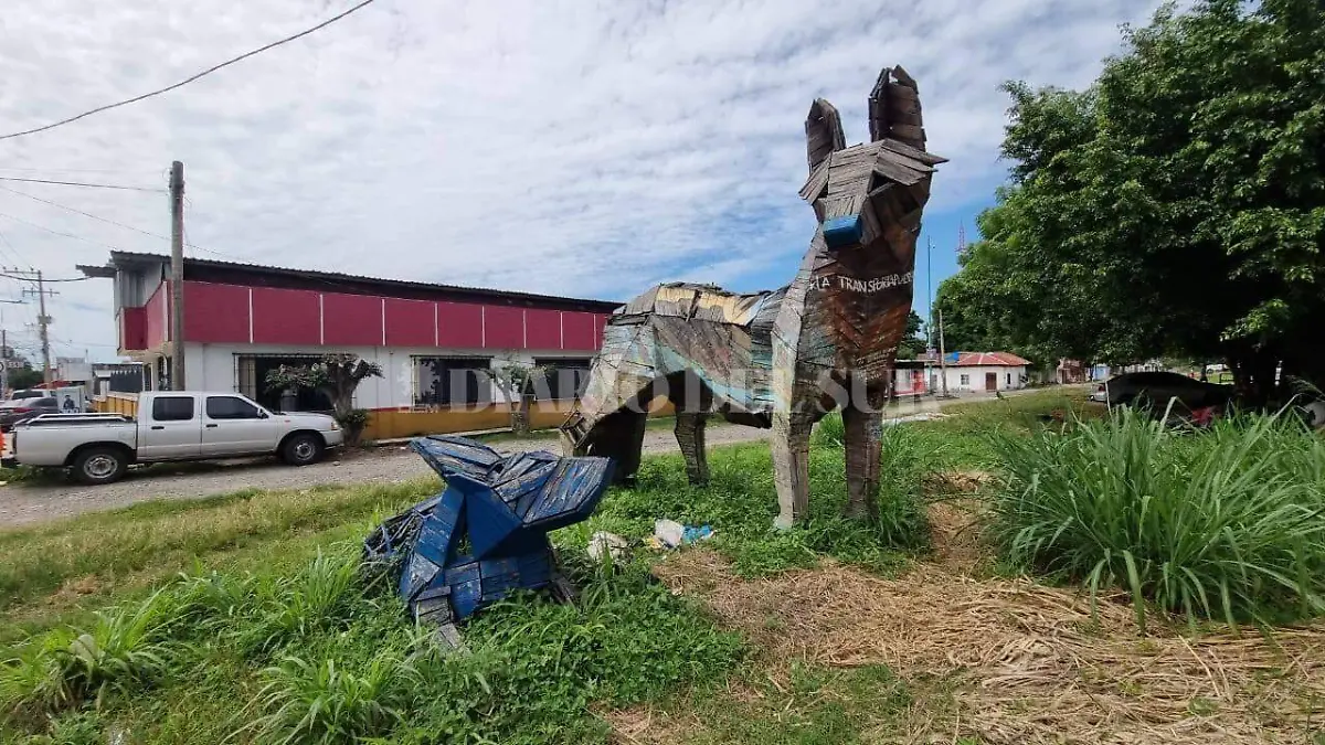 coyota