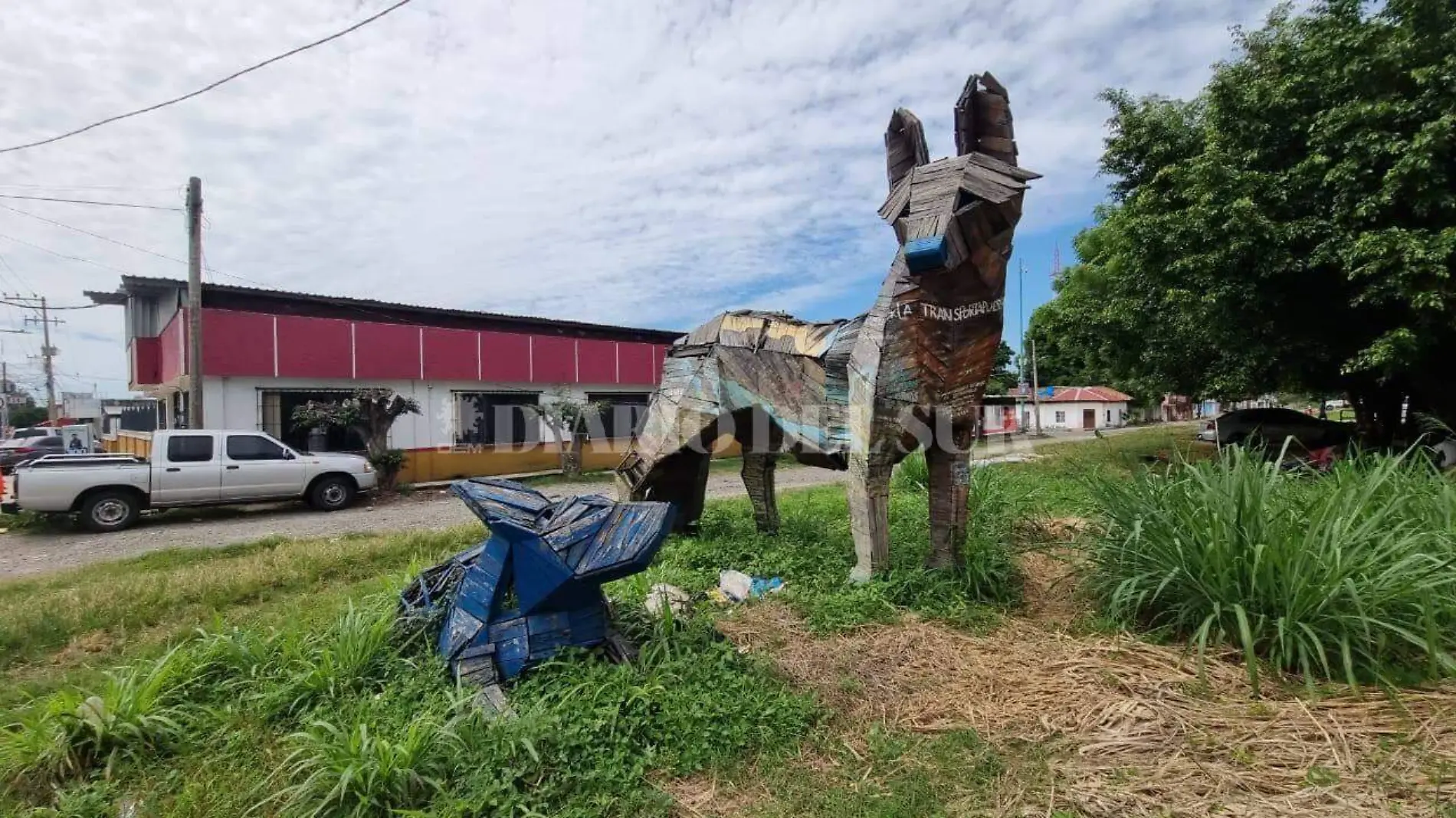 coyota