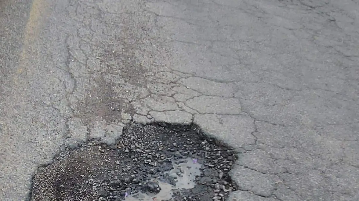 bache3