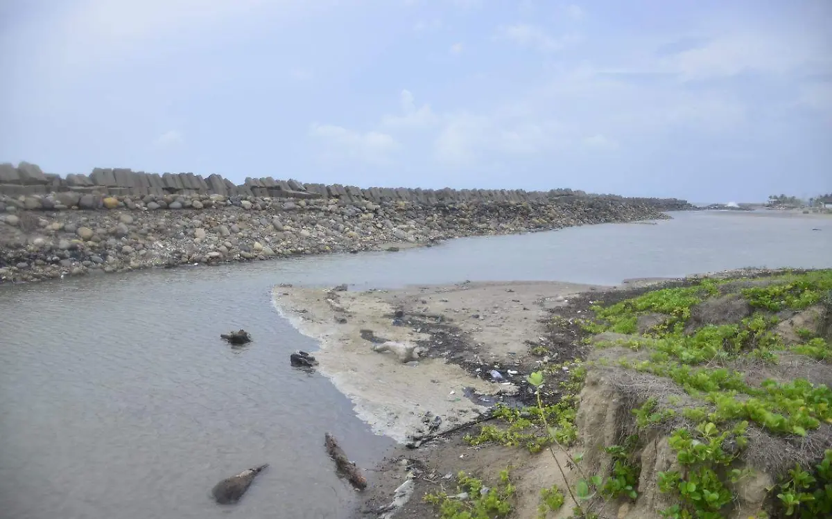 WhatsApp Image 2022-08-05 at 3.19.04 PM