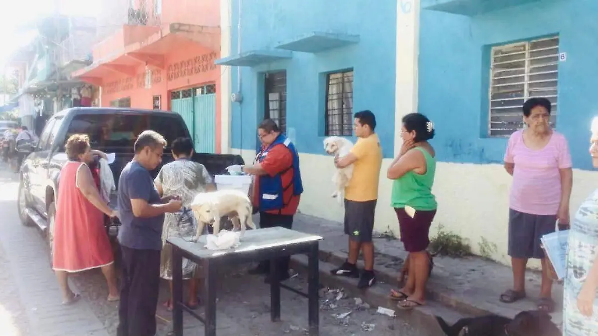 vacunacion perros