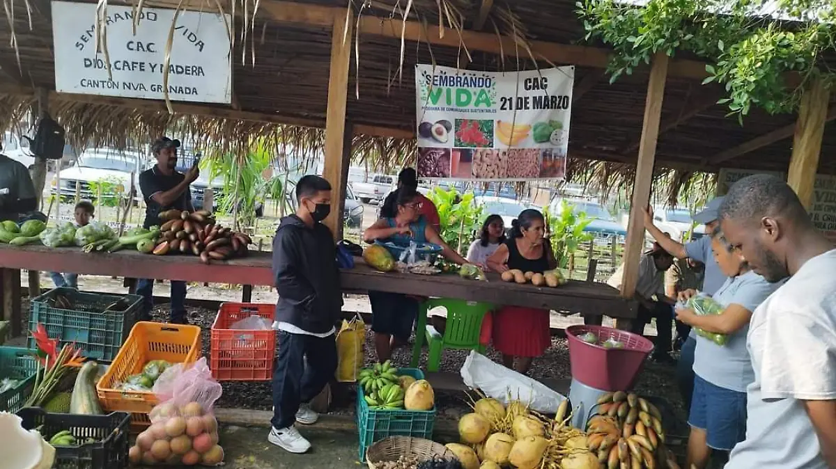 mercados1