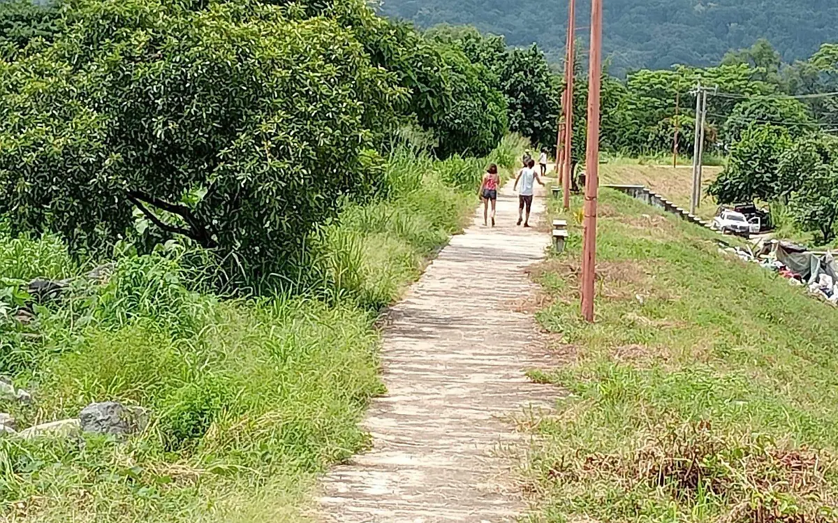 puente 2