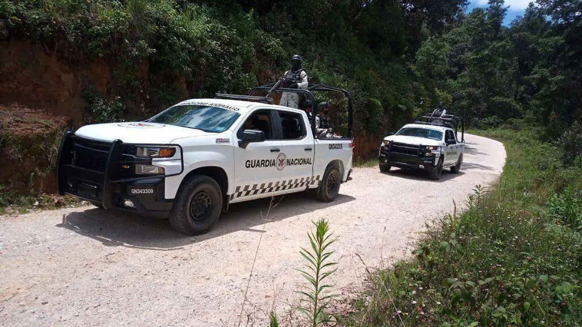 Vigilancia2