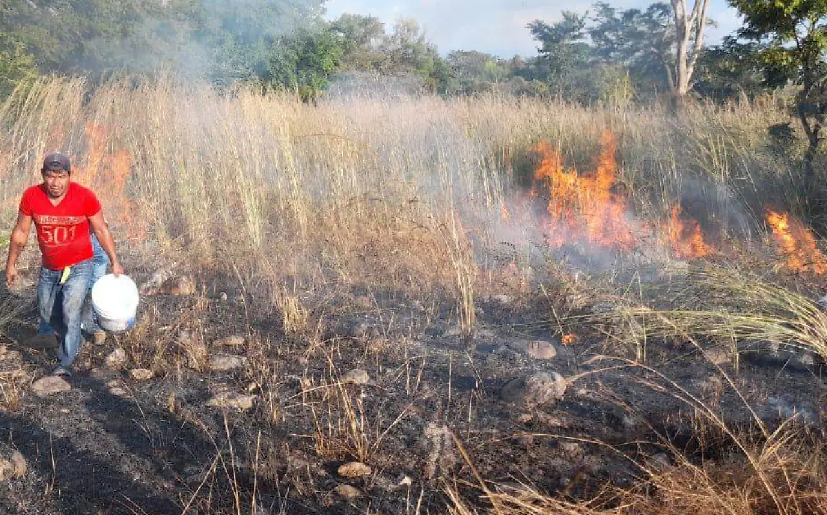 incendio en pastizal 1