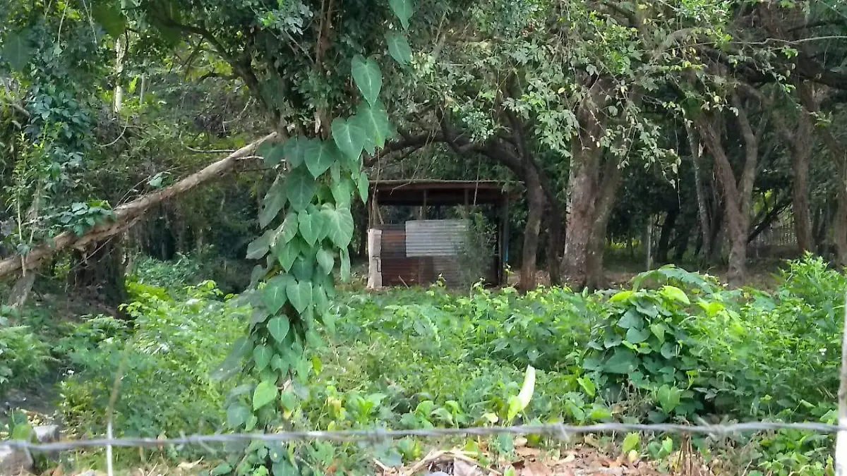 predios