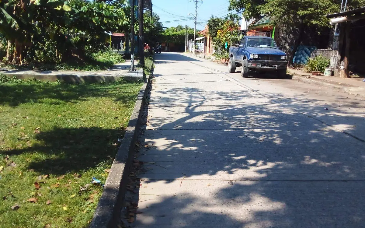 programas vecinos vigilantes 