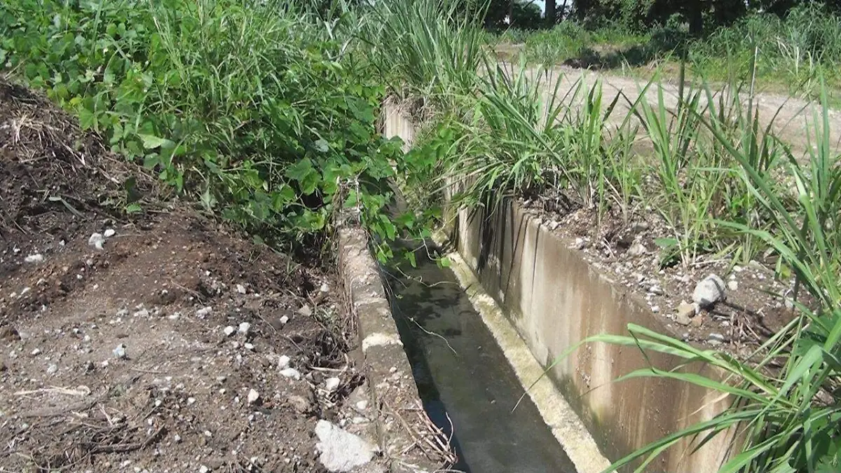 contaminacion