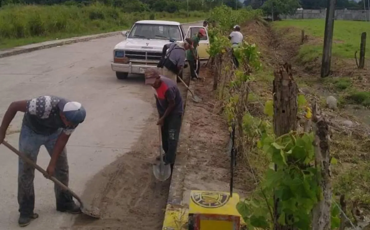 voluntarios haciendo limpieza 