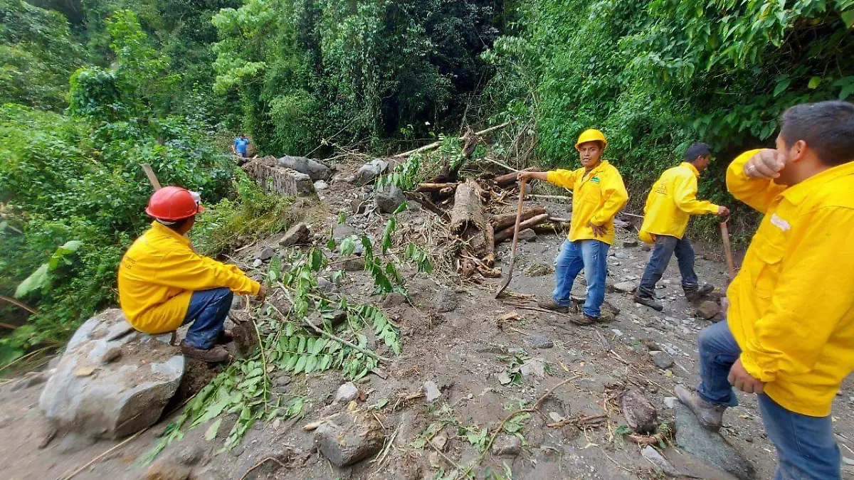 reeconstrucción de chiquihuites 1