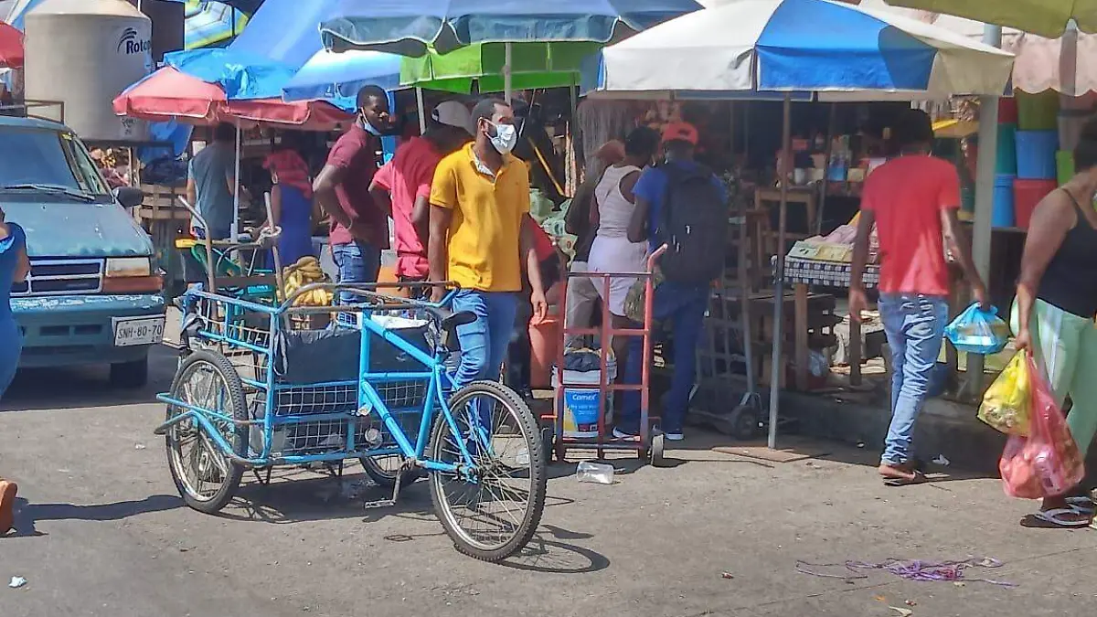 Migrantes ambulantes