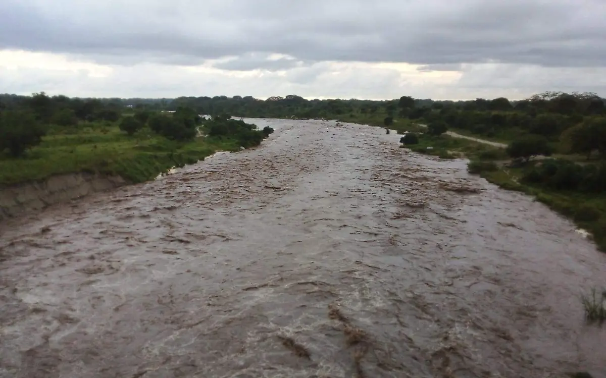 WhatsApp Image 2021-09-03 at 6.41.25 PM (1)